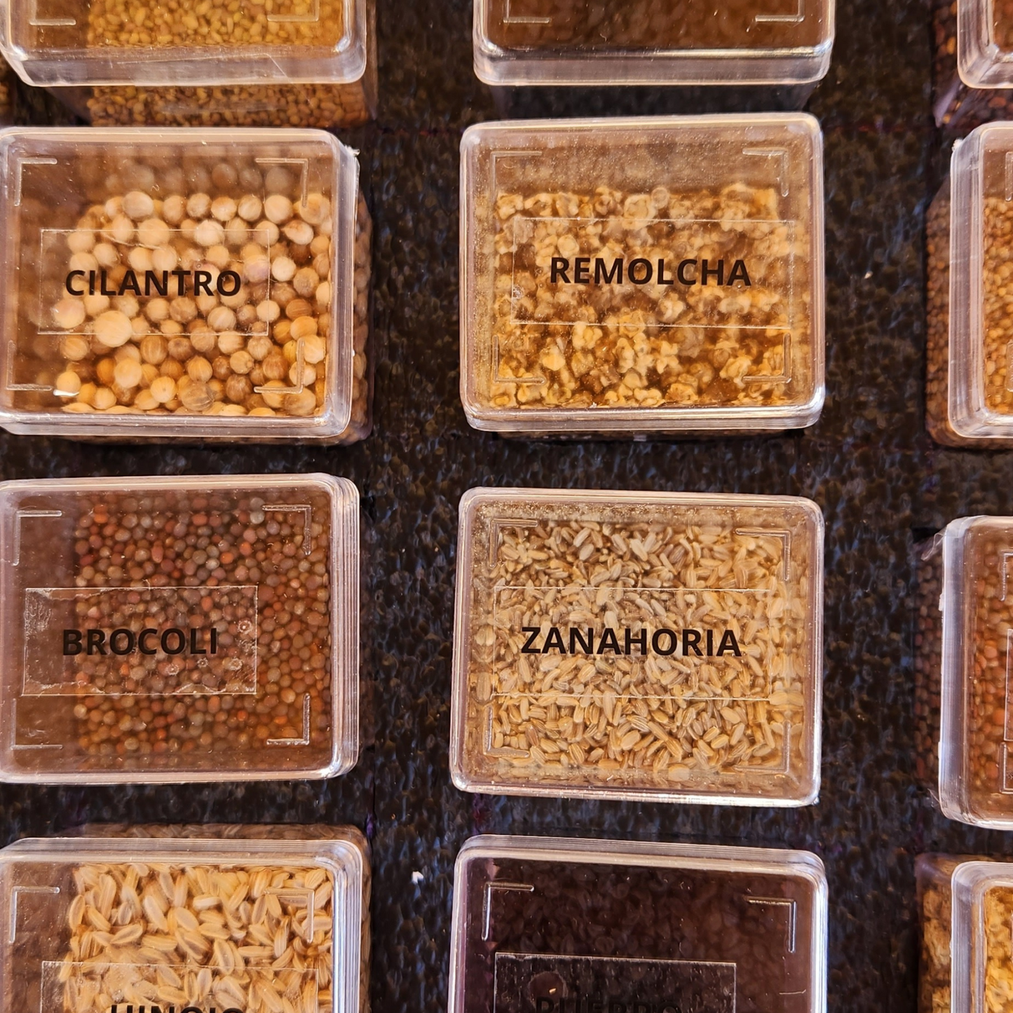 Caja Premium de Semillas Orgánicas 🌿 |  30 Variedades para Cultivar en Casa