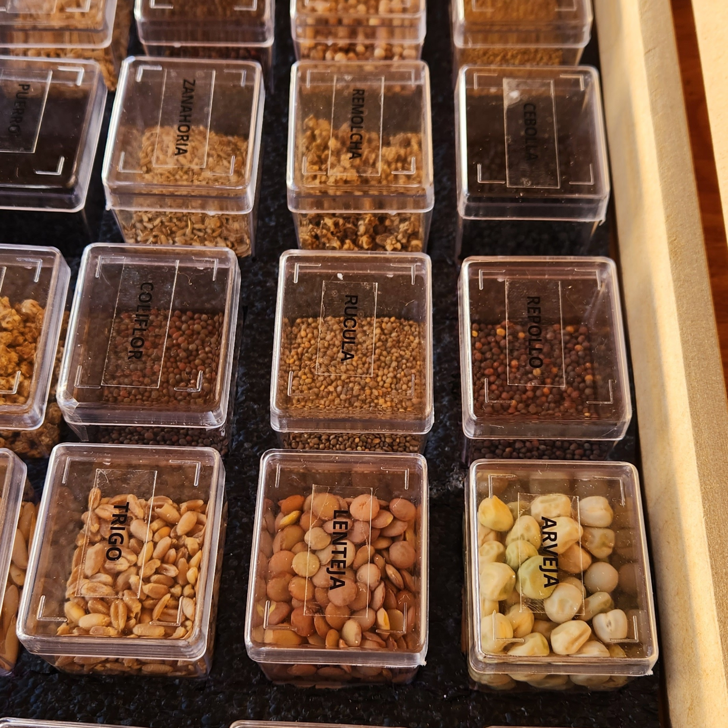 Caja Premium de Semillas Orgánicas 🌿 |  30 Variedades para Cultivar en Casa