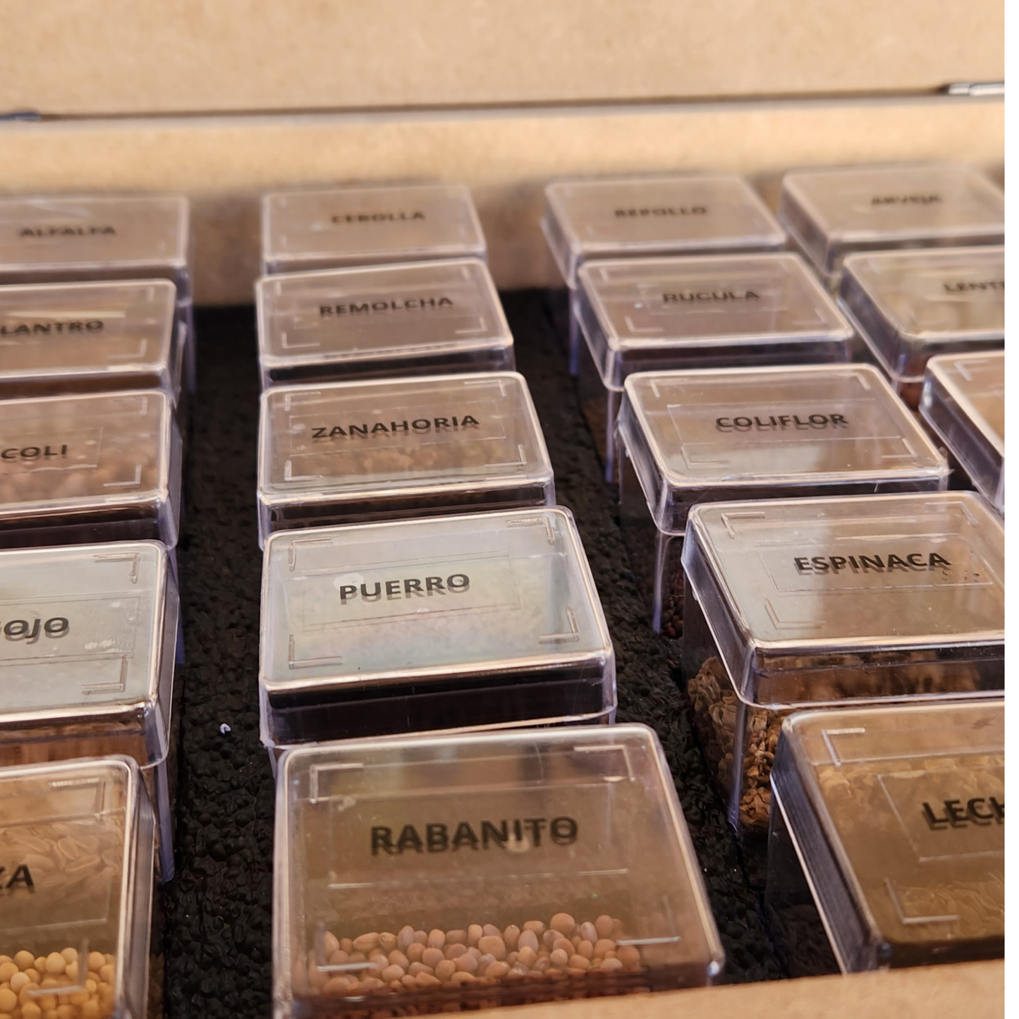 Caja Premium de Semillas Orgánicas 🌿 |  30 Variedades para Cultivar en Casa