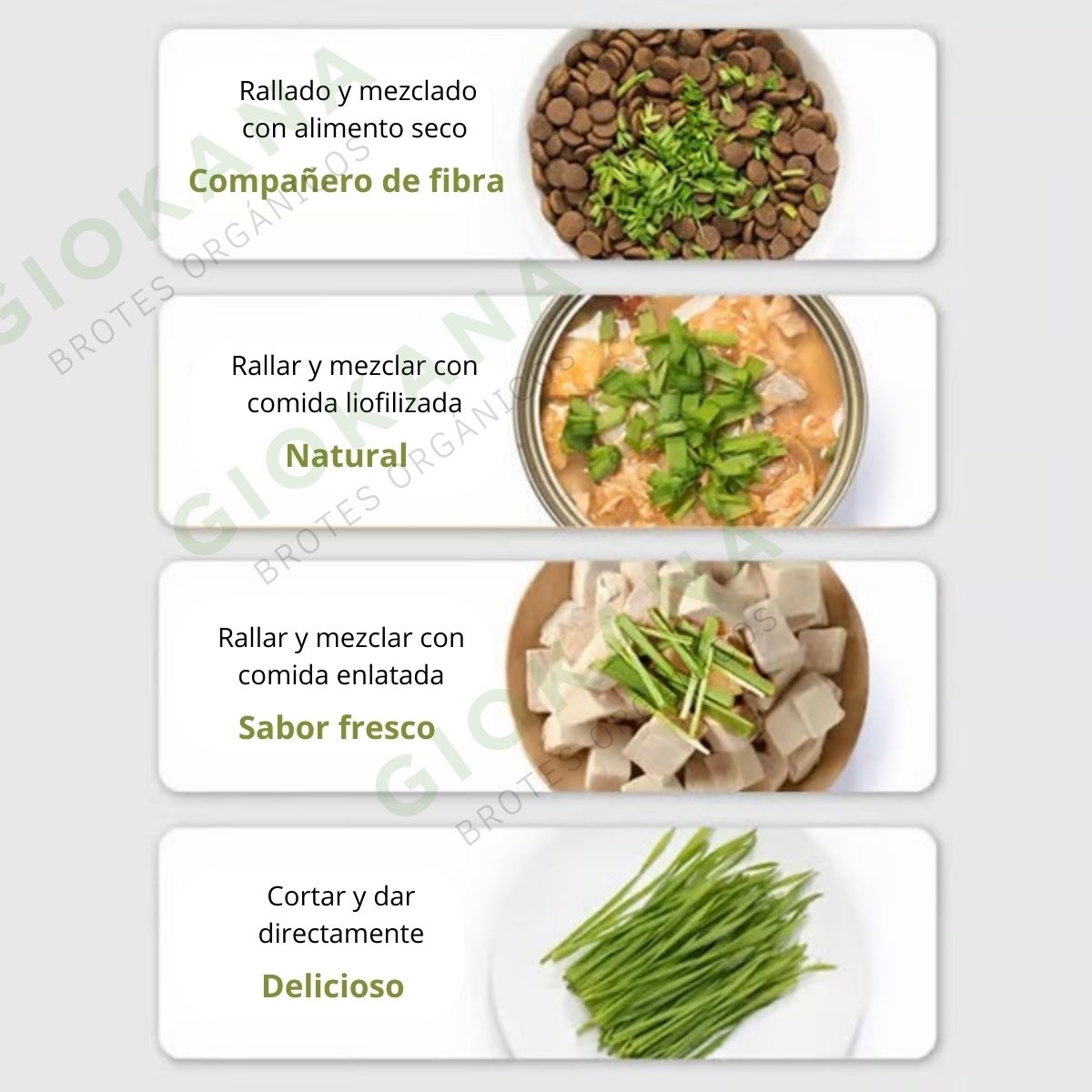 🌿Kit de Hierba Gatera  🐱