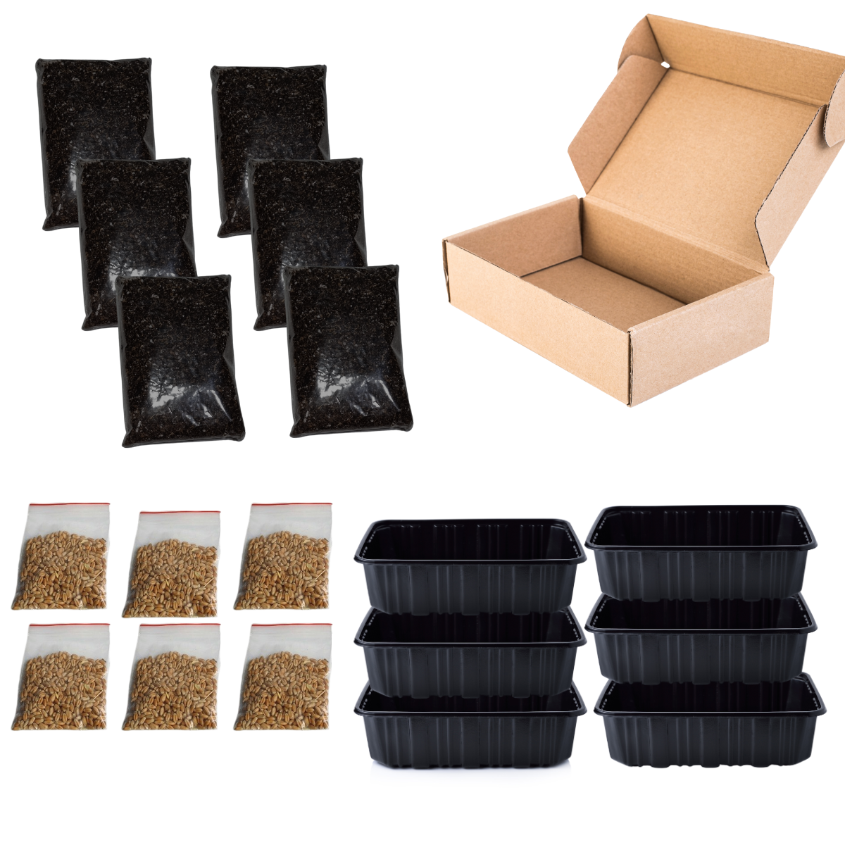 Hierba Gatera  Kit De Cultivo Completo X 6