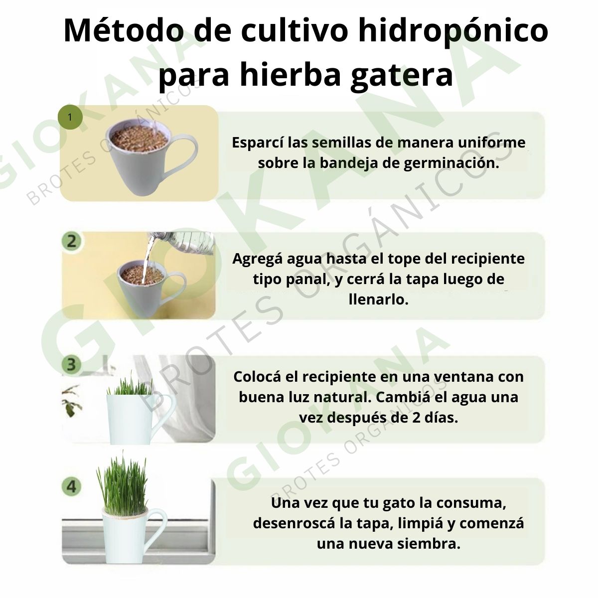🌿Kit de Hierba Gatera  🐱