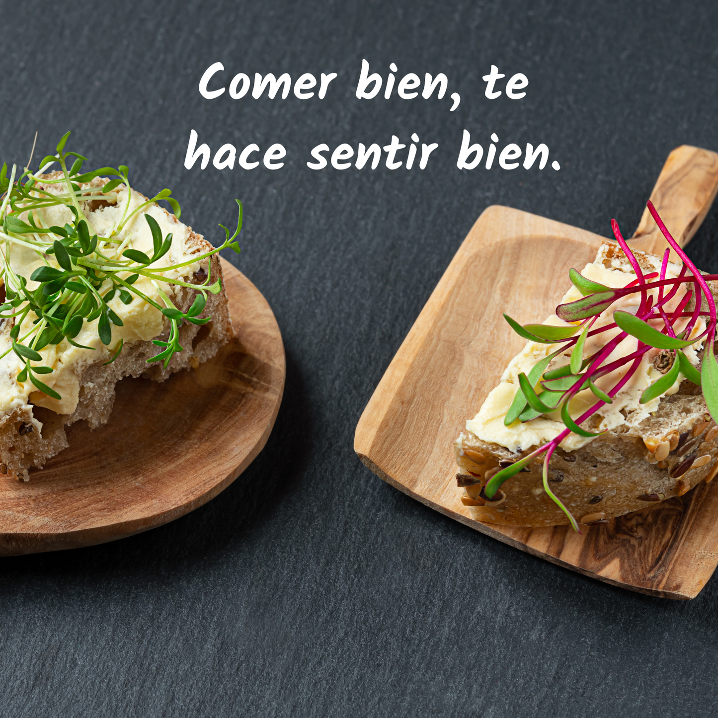 Kit de Cultivo de Brotes