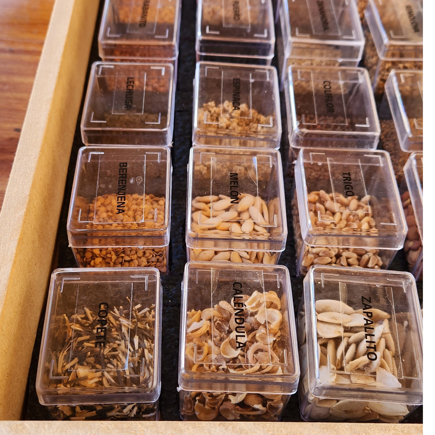 Caja Premium de Semillas Orgánicas 🌿 |  30 Variedades para Cultivar en Casa