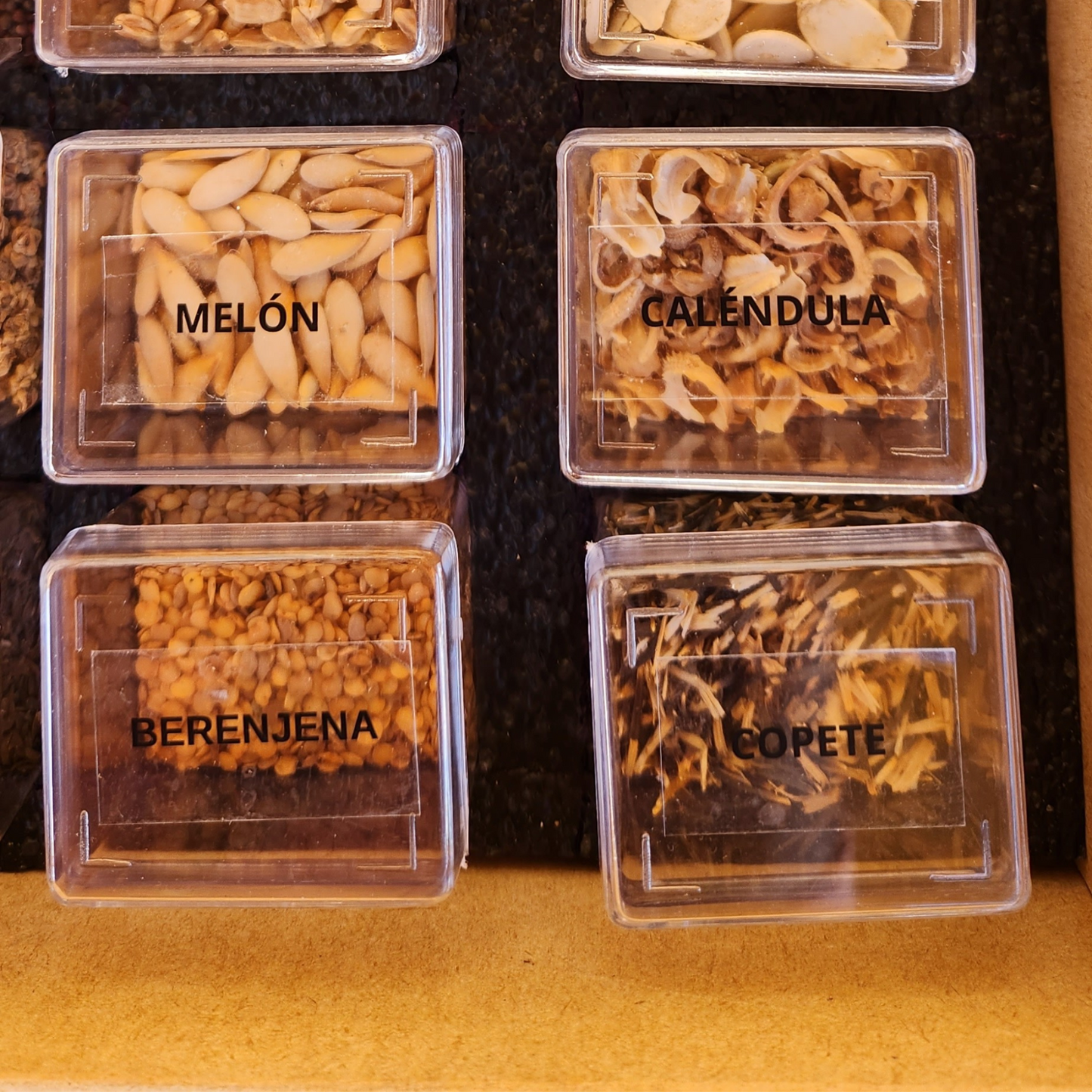 Caja Premium de Semillas Orgánicas 🌿 |  30 Variedades para Cultivar en Casa