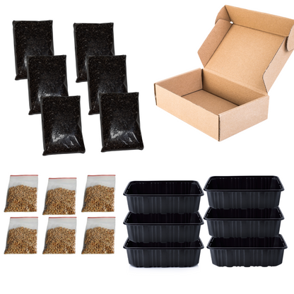 Hierba Gatera  Kit De Cultivo Completo X 6